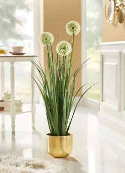 Allium-Gesteck im Topf