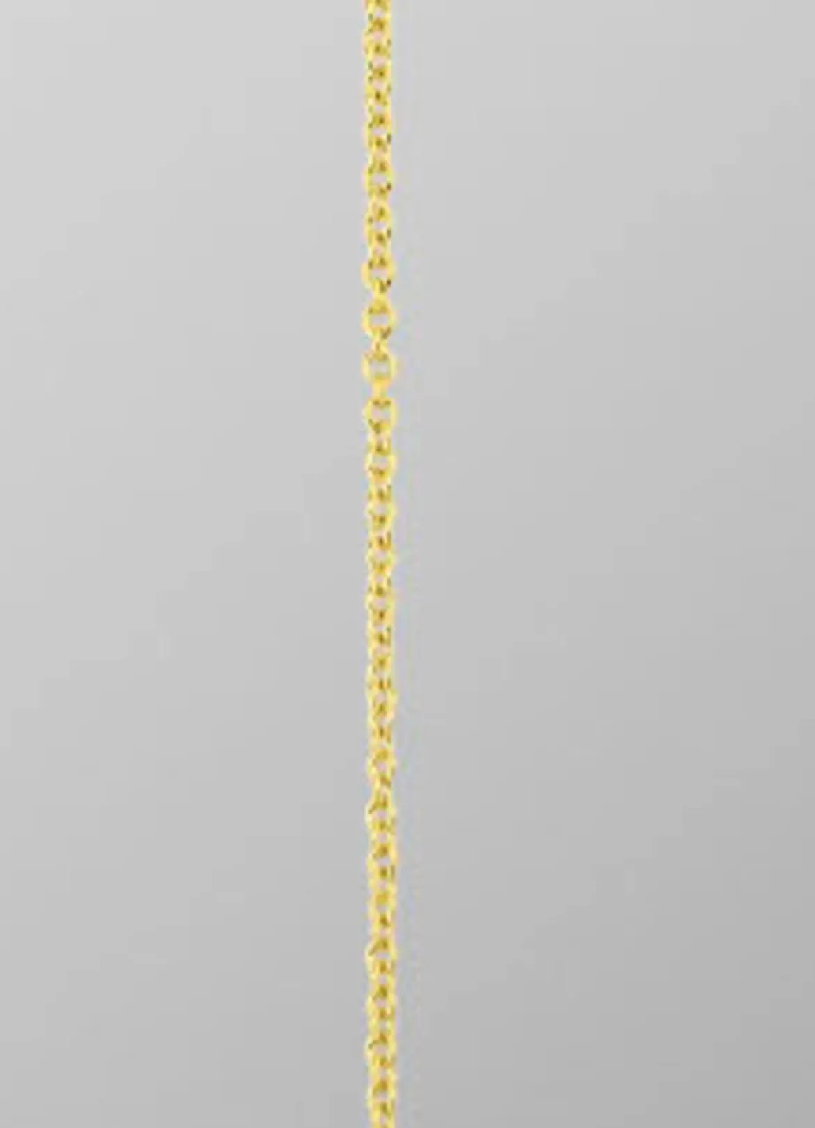 Ankerkette aus Gold