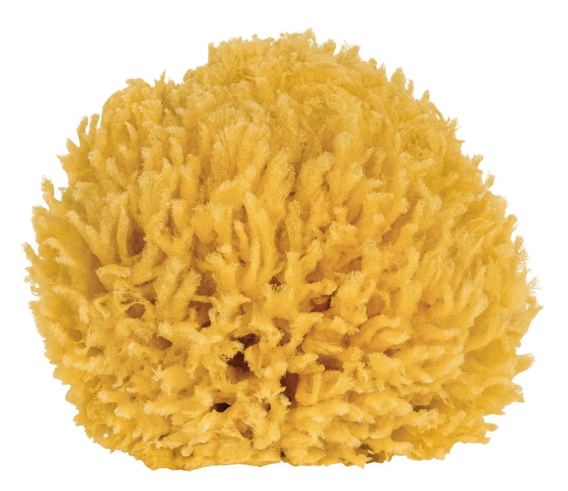 Badeschwamm aus natürlichem Material