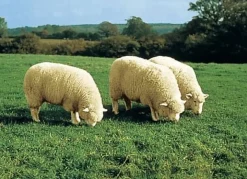 Bettumrandung aus echtem Lammfell in Tierform