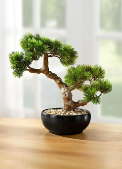 Bonsai im Keramiktopf