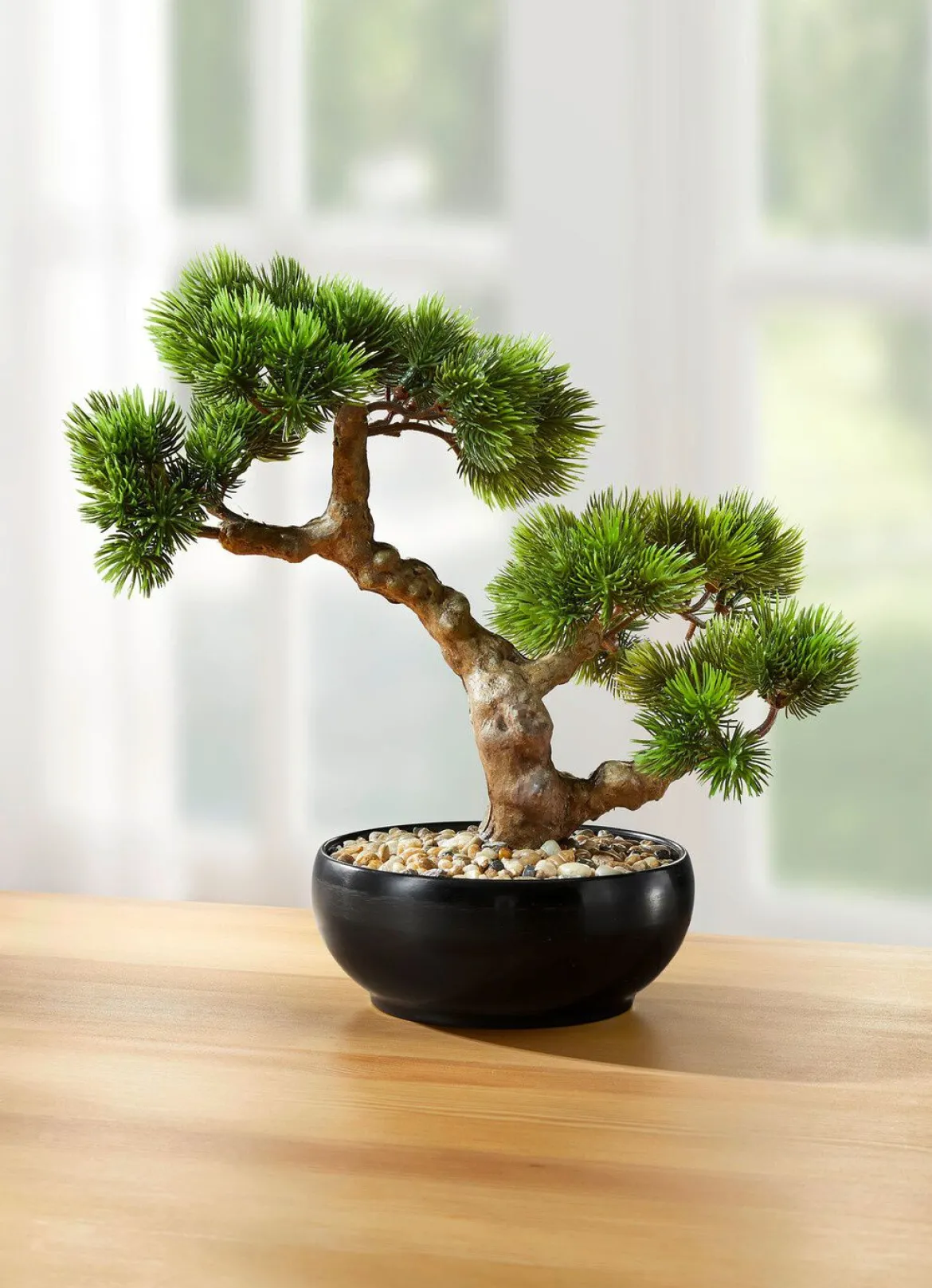 Bonsai im Keramiktopf