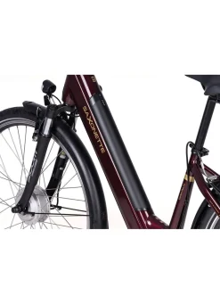 E-Bike Comfort Plus 5.0 von Saxonette