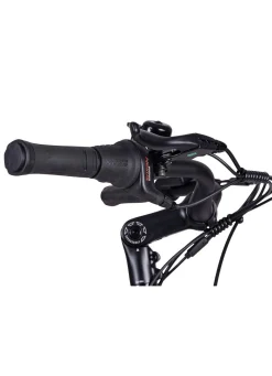 E-Bike Comfort Plus 5.0 von Saxonette