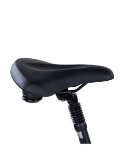 E-Bike Comfort Plus 5.0 von Saxonette