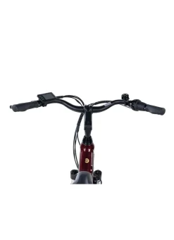 E-Bike Comfort Plus 5.0 von Saxonette