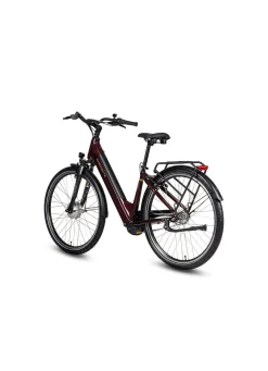 E-Bike Comfort Plus 5.0 von Saxonette