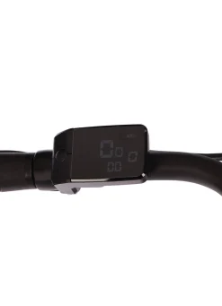 E-Bike Comfort Plus 5.0 von Saxonette