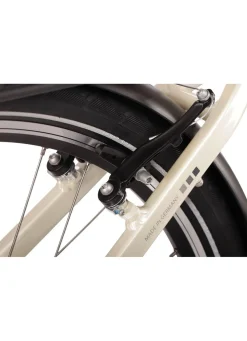 E-Bike Comfort Plus 5.0 von Saxonette