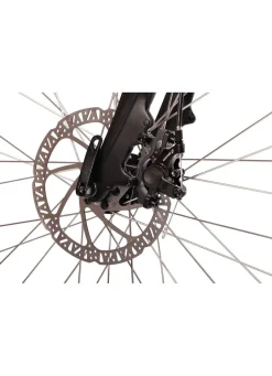 E-Bike Comfort Sport Easy von SAXXX