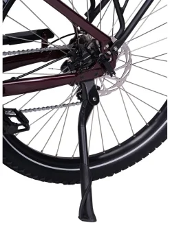 E-Bike Deluxe SUV Easy