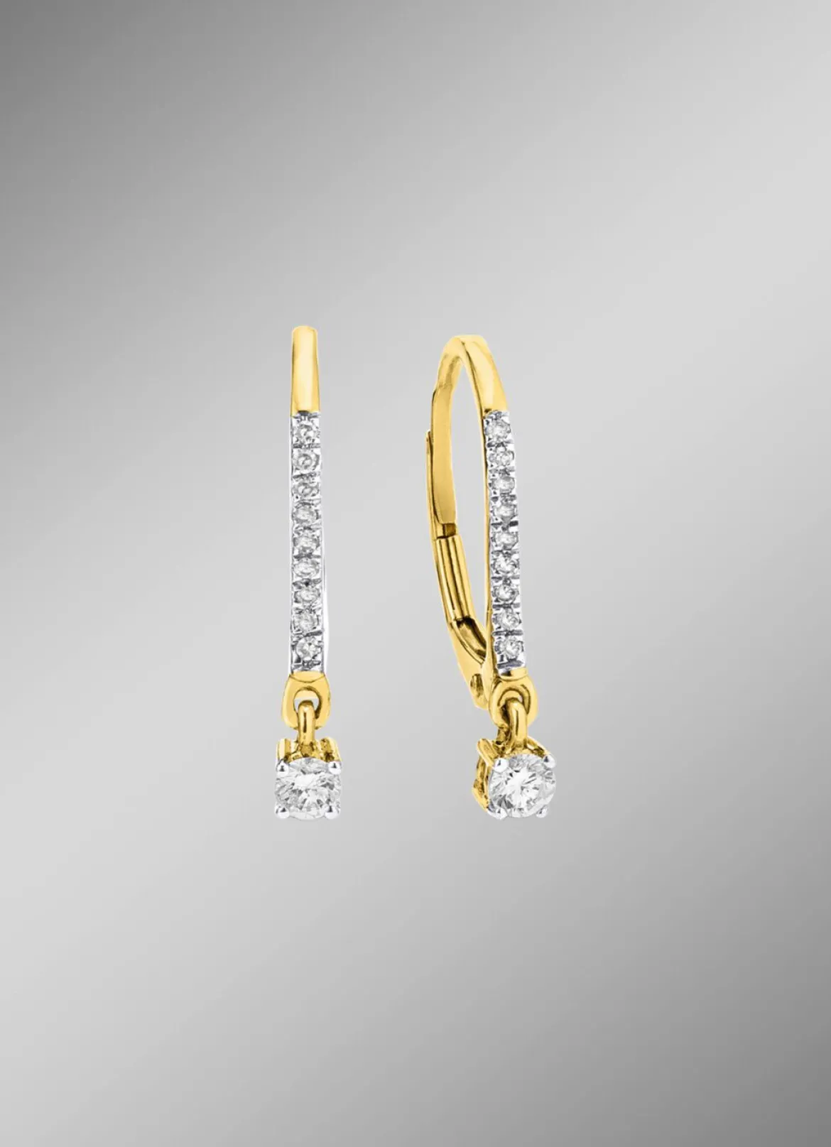 Edle Ohrringe mit 2 Brillanten und 18 Diamanten