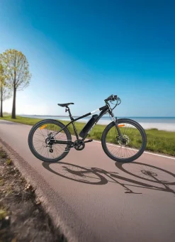 E-Mountainbike von Veccocraft