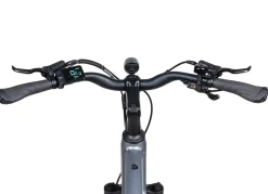 E-Trekking-Bike X-Road 5.2 von SAXONETTE