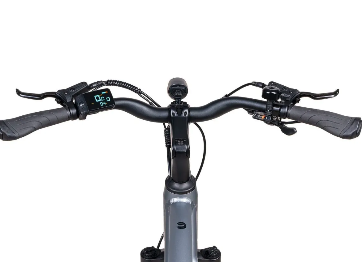 E-Trekking-Bike X-Road 5.2 von SAXONETTE