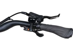 E-Trekking-Bike X-Road 5.2 von SAXONETTE