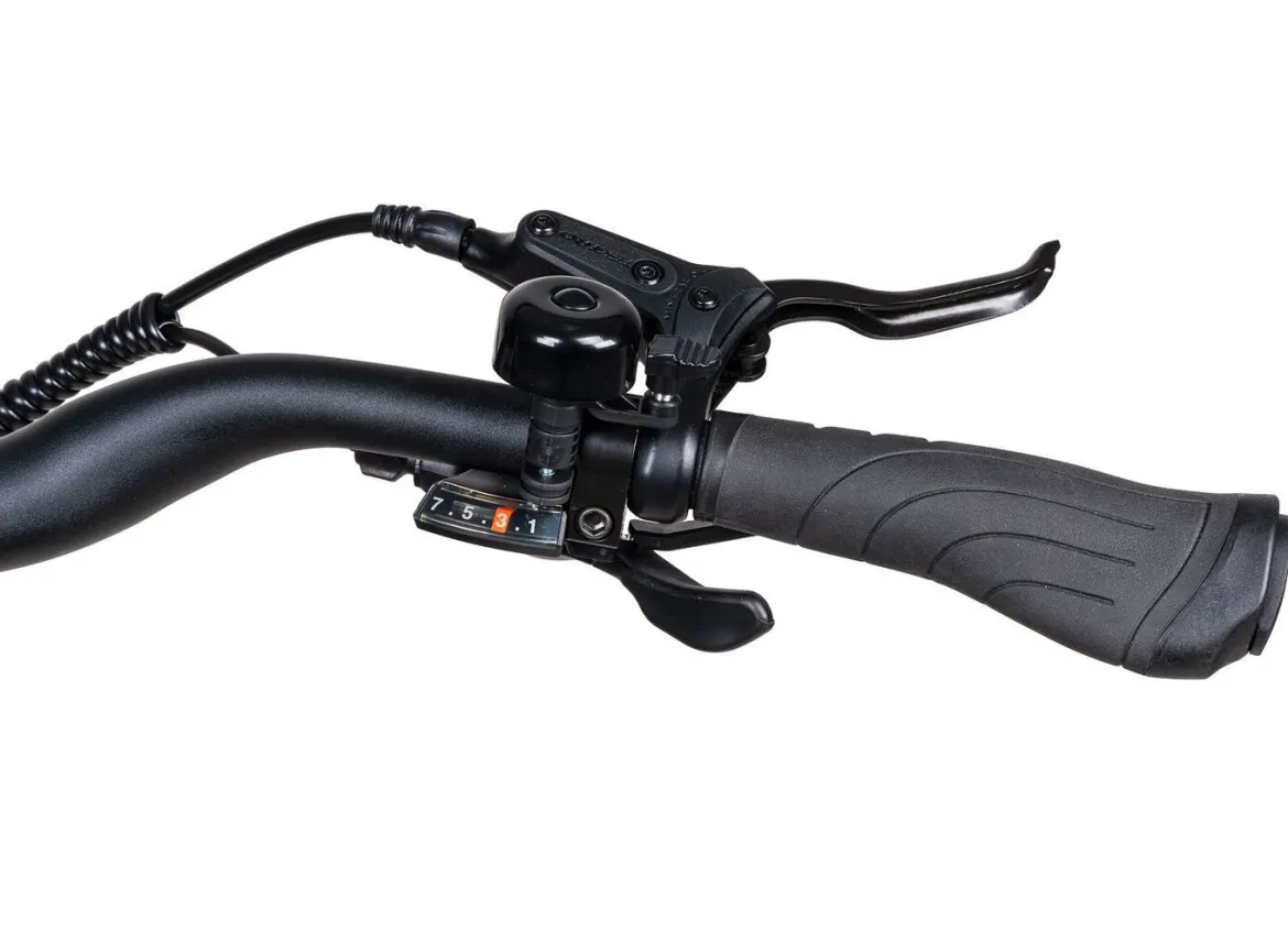 E-Trekking-Bike X-Road 5.2 von SAXONETTE