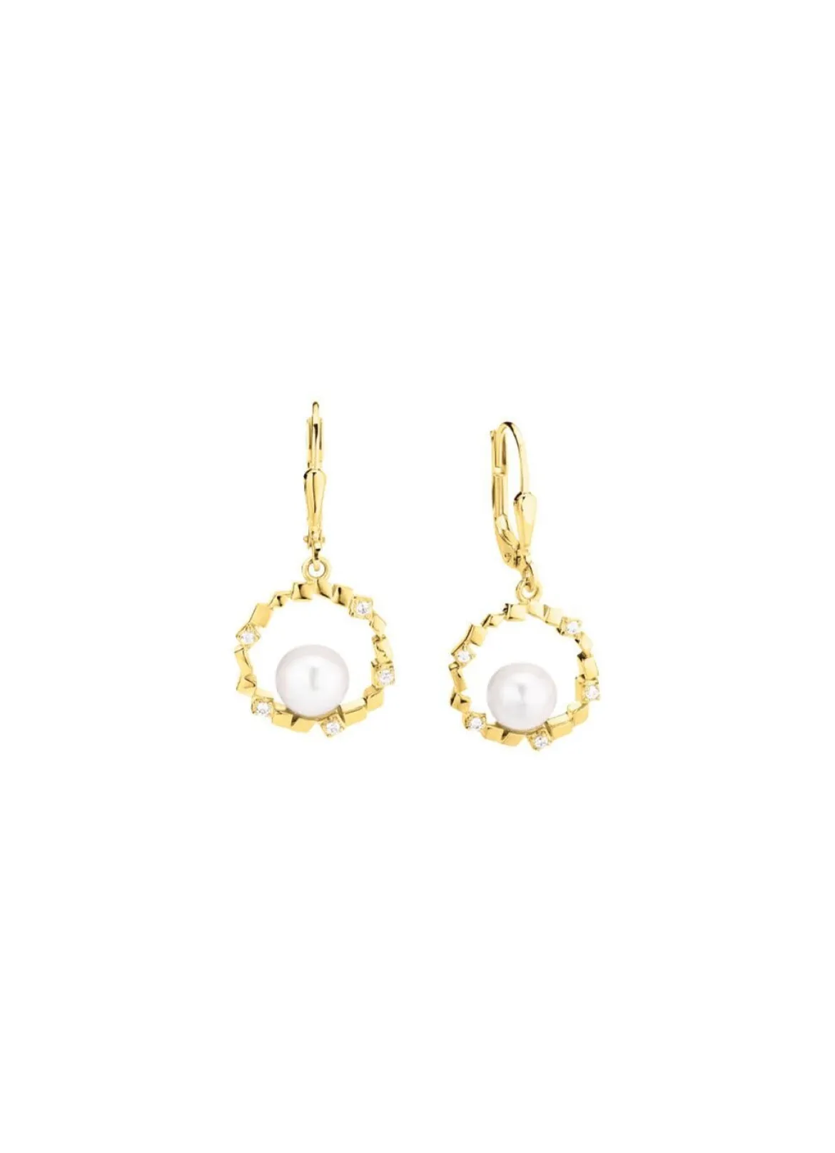 Exquisite Ohrringe