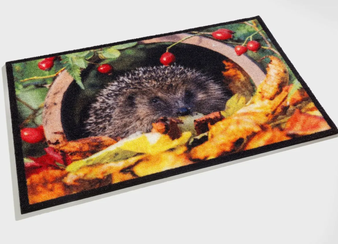 Fußmatte mit Igel-Motiv