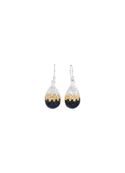 Funkelnde Ohrhaken mit Swarovski-Elements