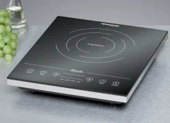 Induktions-Kochtafel in 2 AusfüIhrungen
