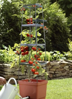 MAXITOM Tomaten-Rankhilfe Komplett-Set