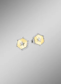 Ohrstecker in Bicolor mit 2 Brillanten und 60 Diamanten