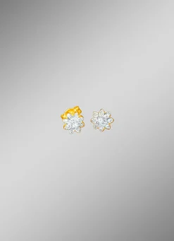 Ohrstecker mit Brillanten und Diamanten