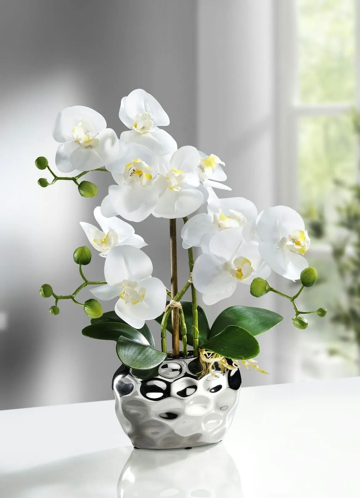 Orchidee im Topf