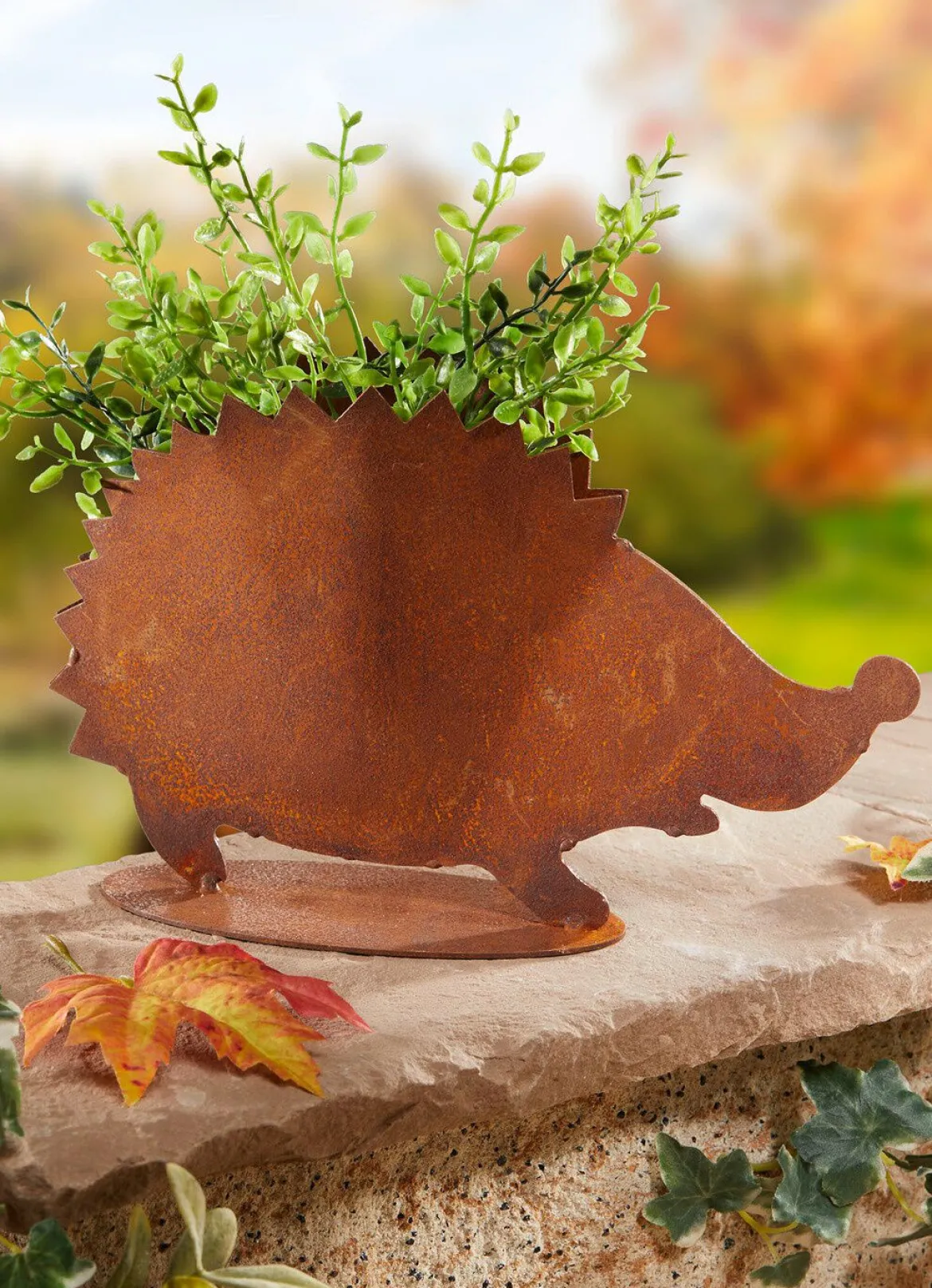 Pflanzigel im Rost-Look