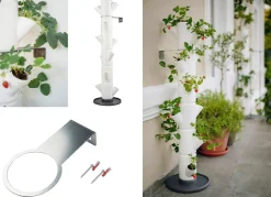 Pflanz-System Sissi Strawberry