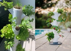 Pflanz-System Sissi Strawberry