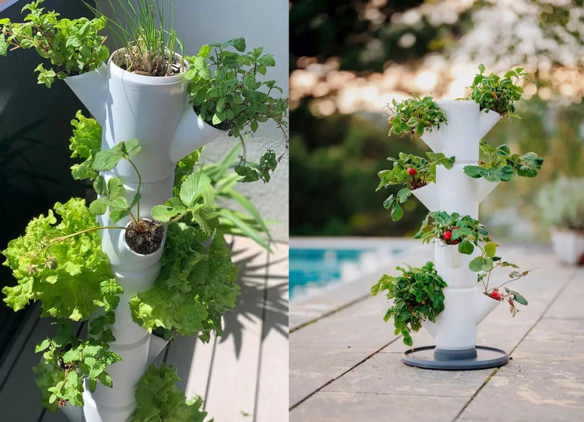 Pflanz-System Sissi Strawberry