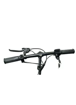 4-Rad-Roller