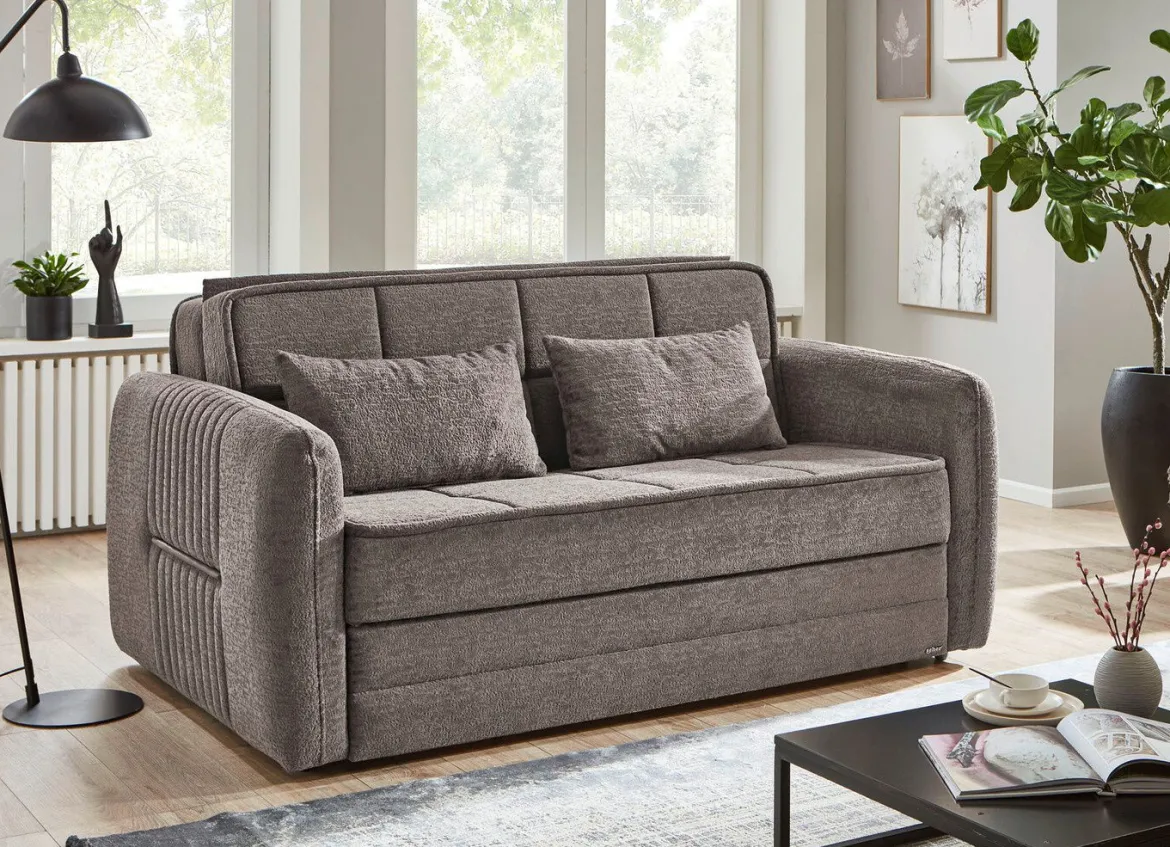 Schlafsofa mit Bettkasten