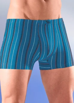 Sechserpack Pants mit Streifendessin