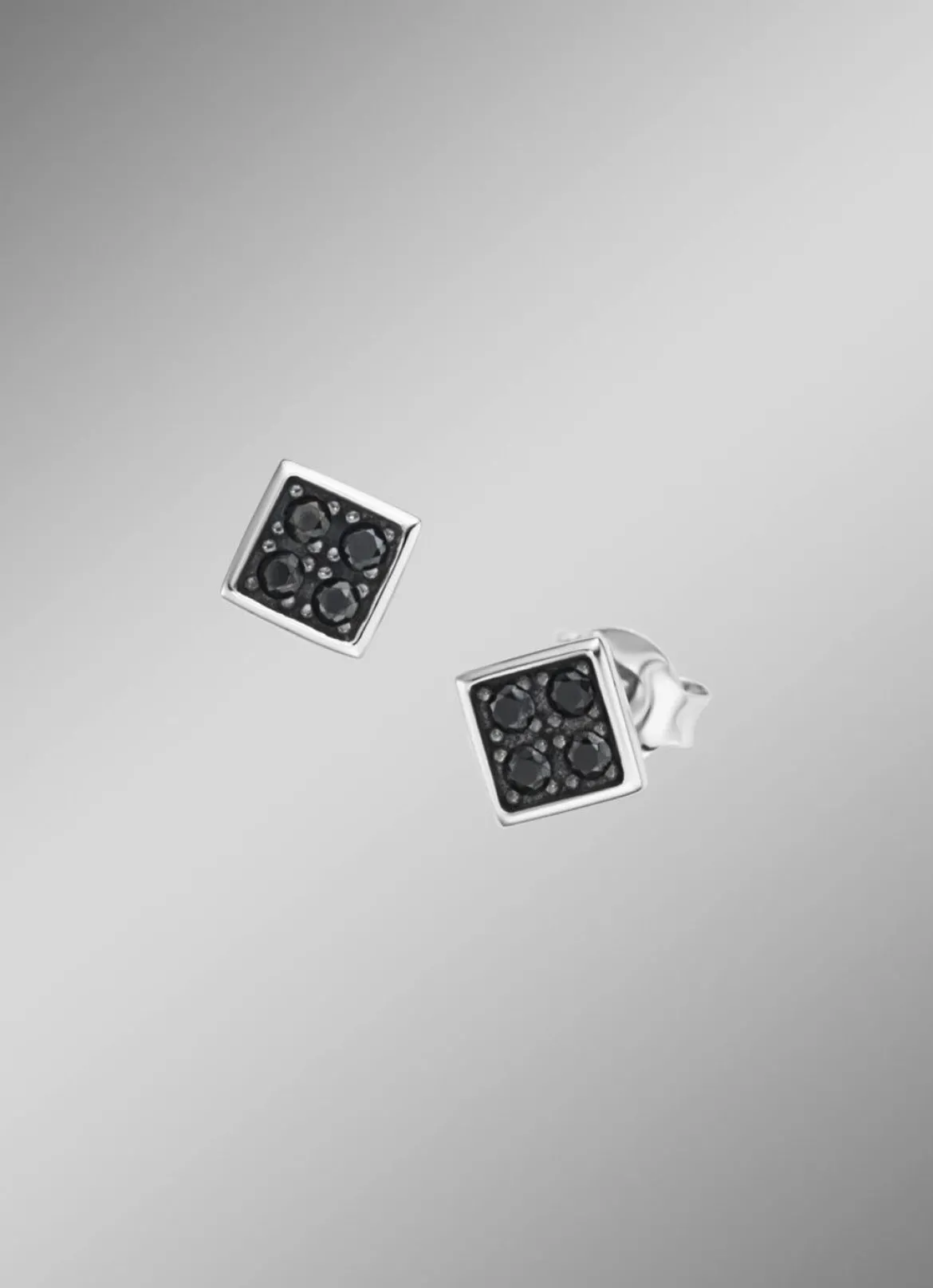 Stilvolle Ohrstecker in edlem Silber