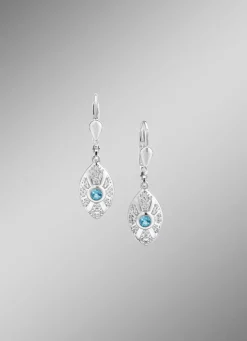 Strahlende Akzente – Exquisite Ohrringe aus Silber