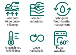 TESTSIEGER Mehrzonen-Matratze „max foam by fan“