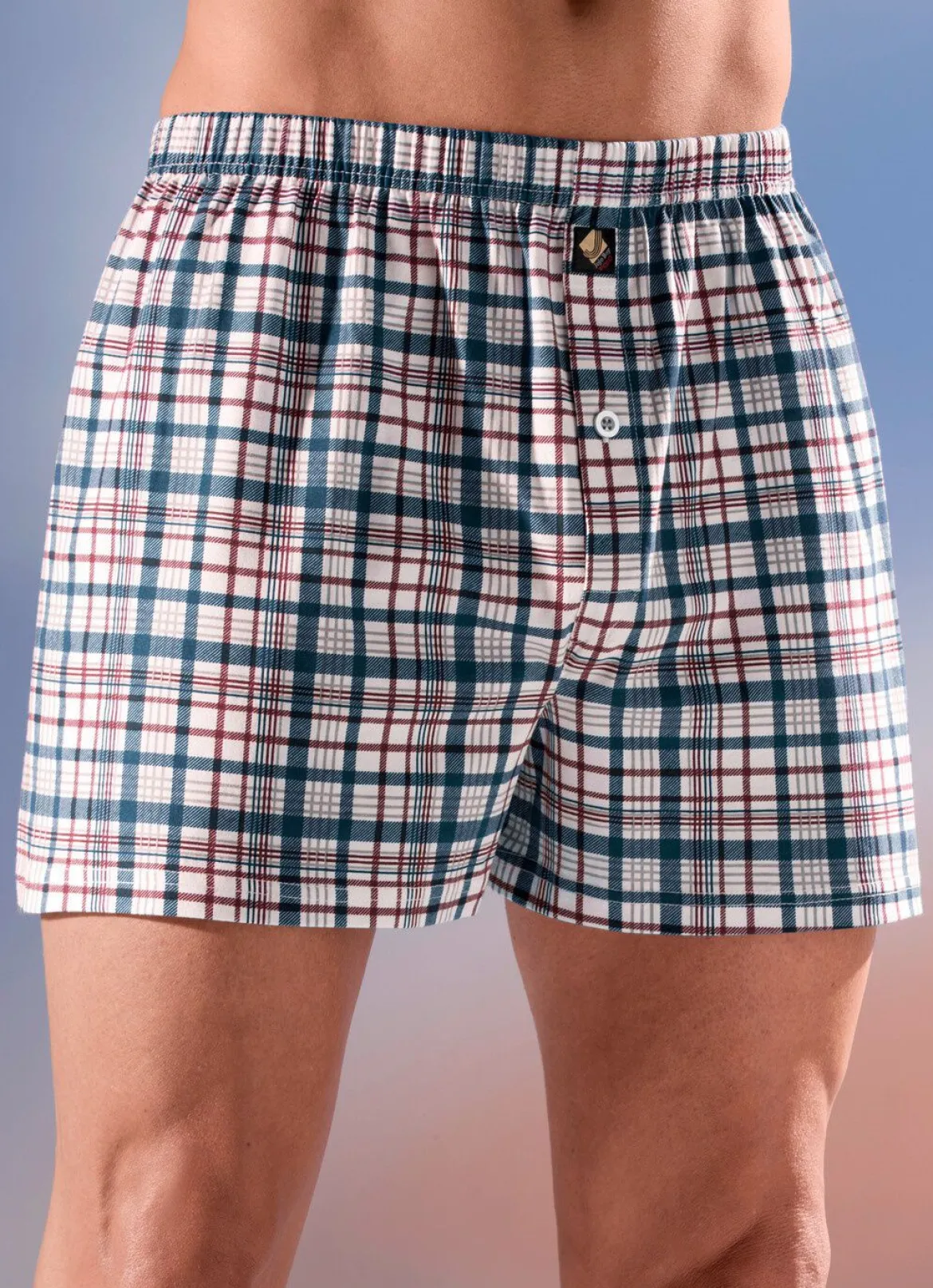 Viererpack Boxershorts, kariert, knöpfbarer Eingriff