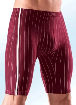 Viererpack Longpants, gestreift