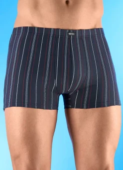 Viererpack Pants mit Streifendessin