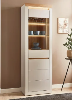 Vitrine mit LED-Beleuchtung, 1-türig