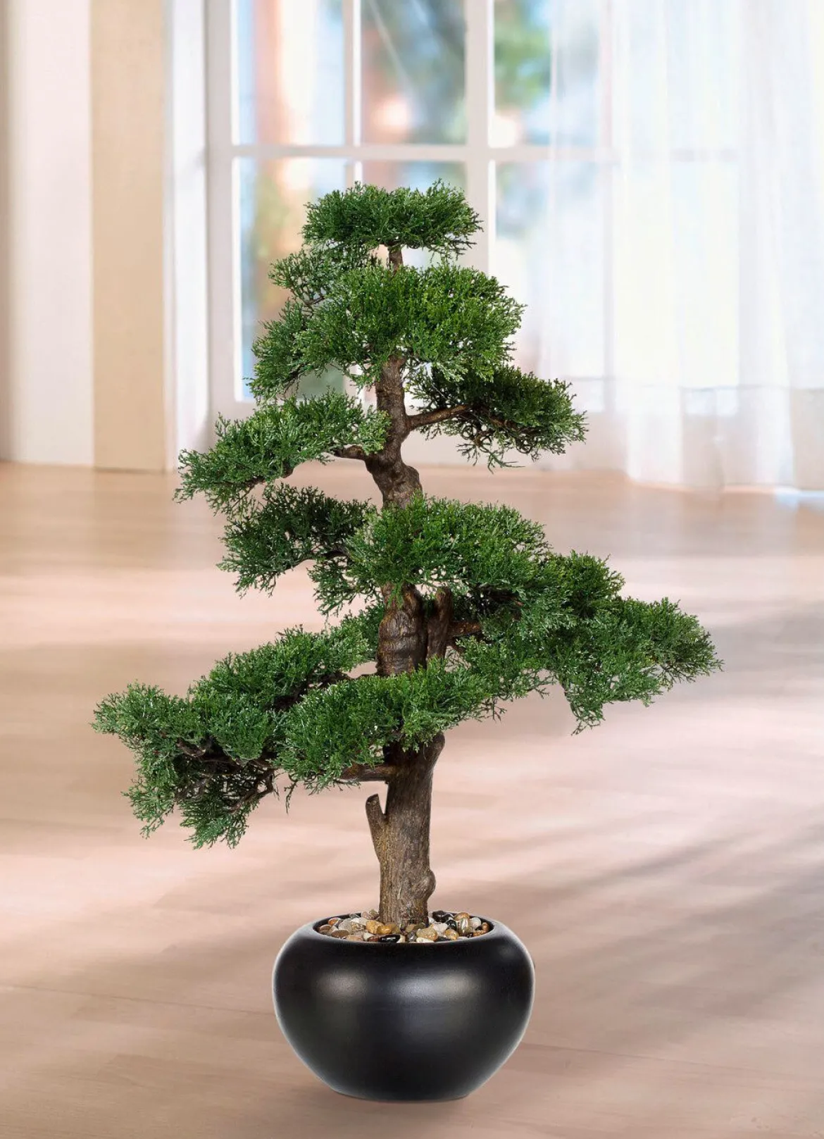 Zeder-Bonsai im Keramiktopf